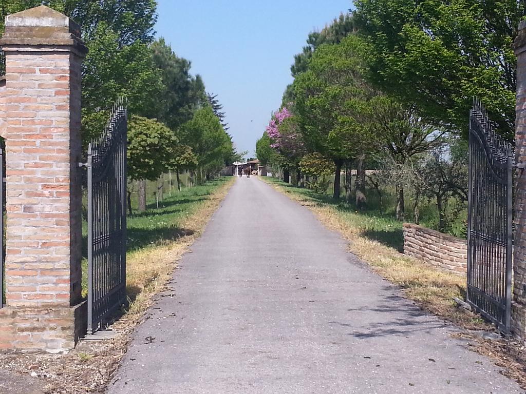 Agriturismo L'Angelina Villa Alfonsine Exteriör bild