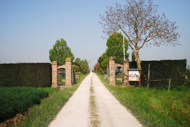 Agriturismo L'Angelina Villa Alfonsine Exteriör bild